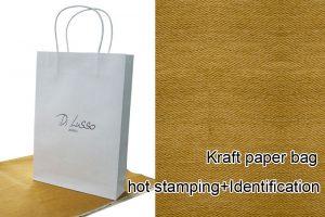 Shopping Bag - Paper